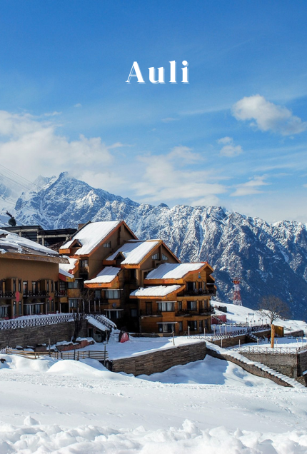 Auli