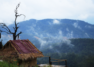 local-uttarakhand