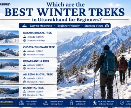 Which are the best winter treks in Uttarakhand for beginners?