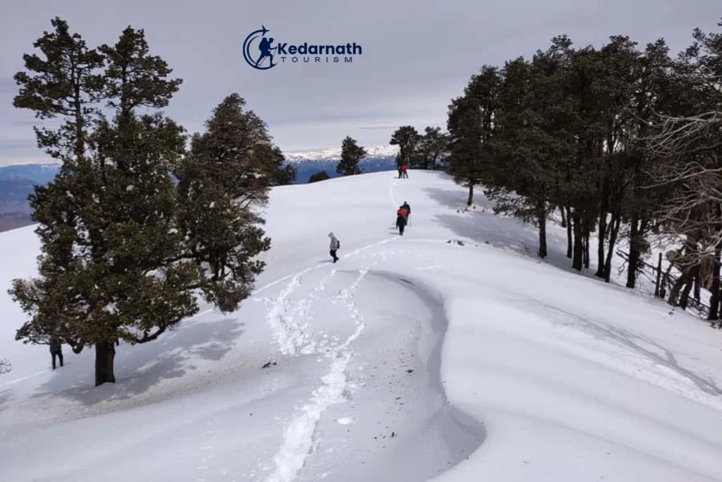 Nag Tibba Snow Trek