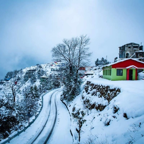 Dhanaulti eco park snow Tehri Garhwal