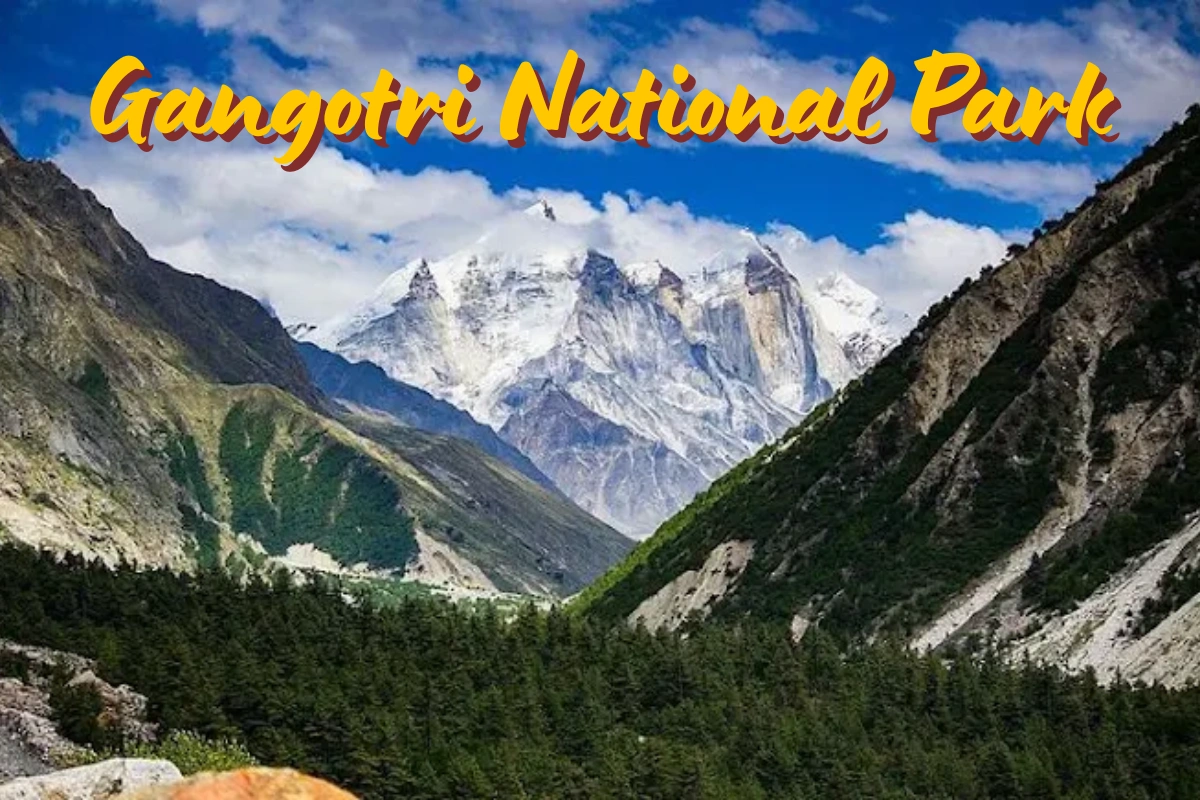 Gangotri National Park
