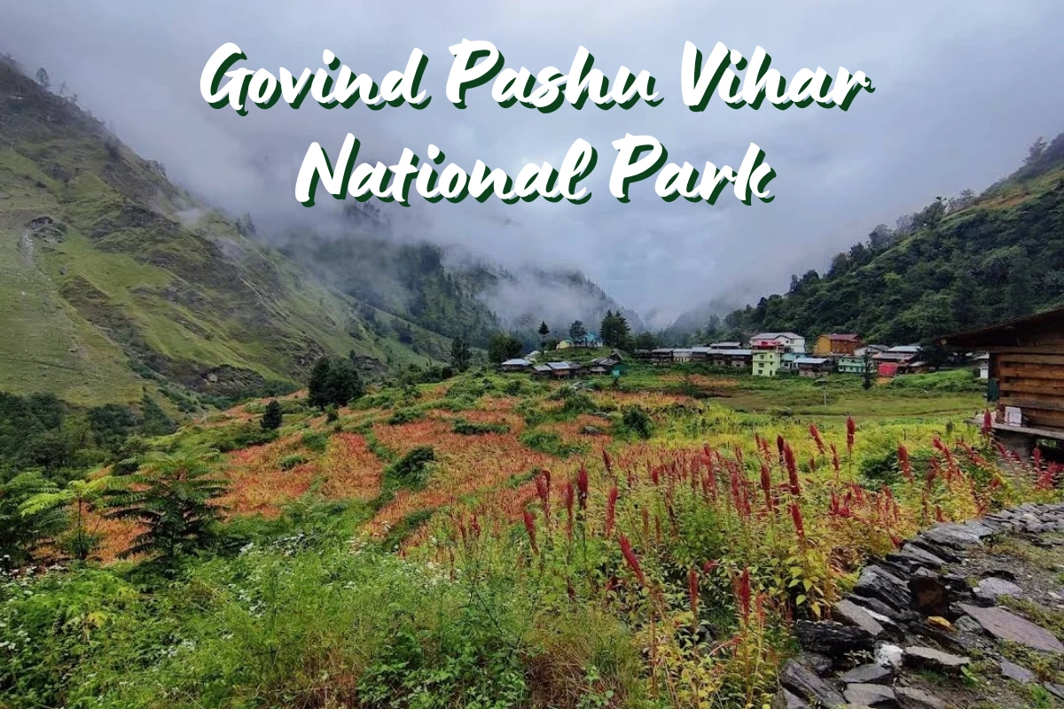 Govind Pashu Vihar National Park