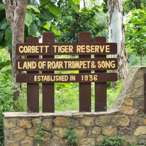 Jim Corbett National Park tiger safari Nainital