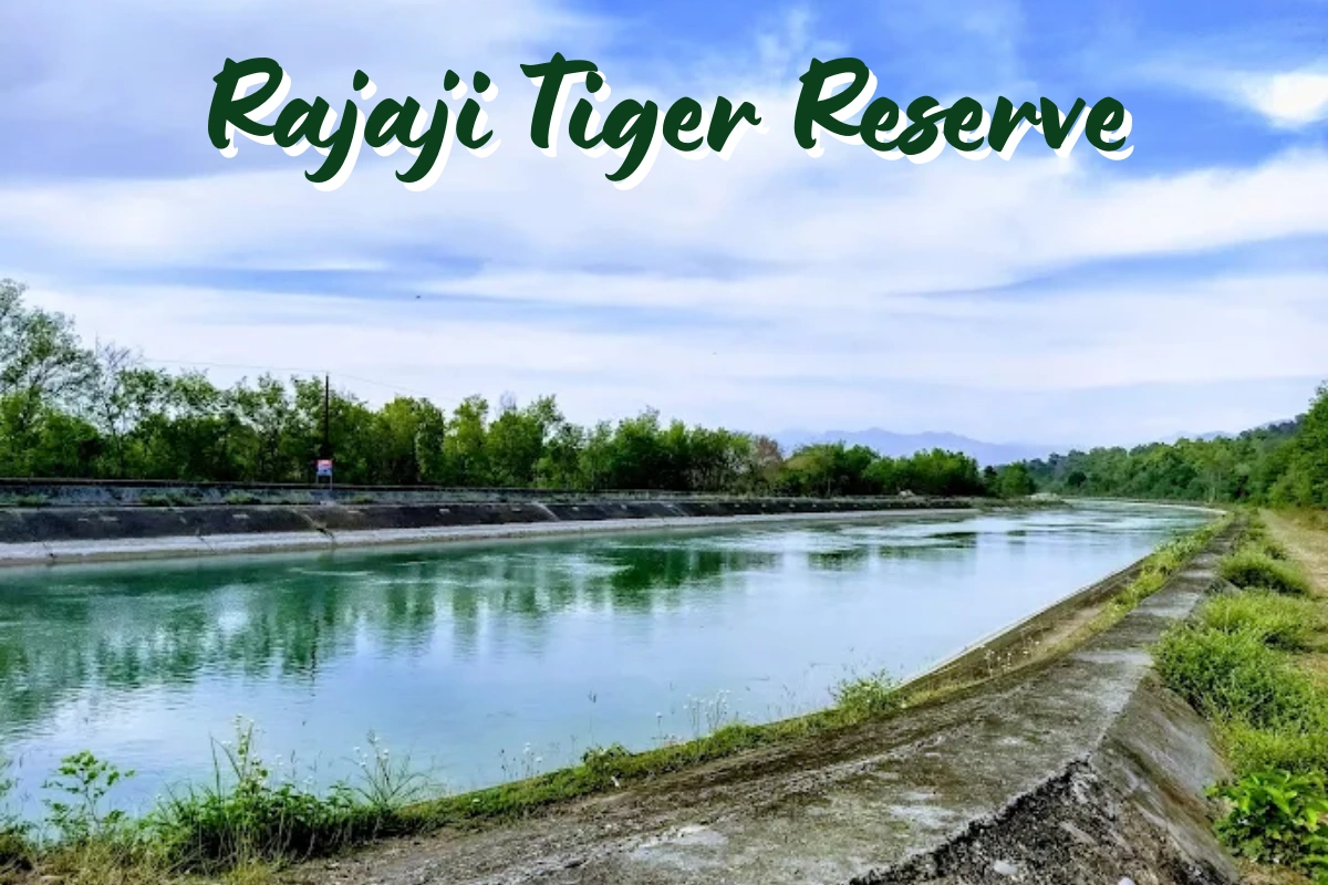 Rajaji Tiger Reserve